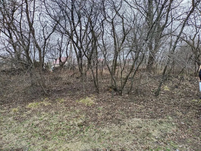 Продаж земельної ділянки несільськогосподарського призначення комунальної власності