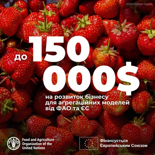 Грантова програма для розвитку агрегаційних моделей у ягідництві та овочівництві